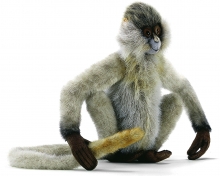 Паукообразная обезьяна, 30 см