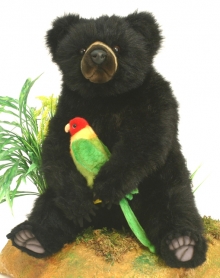 Андский (очковый) медведь, 40 см