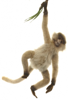 Паукообразная обезьяна 44 см