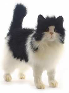 HANSA мягкая игрушка Кошка черно-белая 40 см
