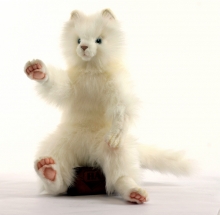 мягкая игрушка Милая Белая Кошечка 45 см