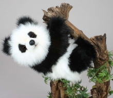 HANSA мягкая игрушка Панда на дереве 30 см